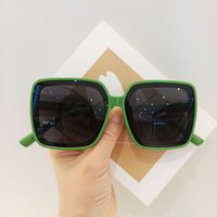 Fashion Big Frame Sunglasses Wholesale sku image 4