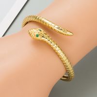 Hiphop Snake Copper Zircon Bracelet Wholesale main image 1