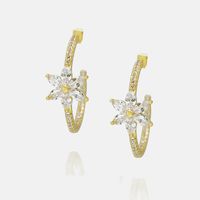 Fashion Flower Gold-plated Zircon Earrings main image 1