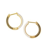 Fashion Zircon Circle Earrings Wholesale sku image 3