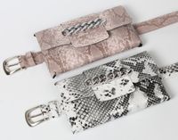 Chain Snake Pattern Thin Belt Waist Bag main image 4