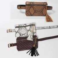 Snake Pattern Thin Belt Tassel Waist Bag main image 1