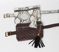Snake Pattern Thin Belt Tassel Waist Bag main image 3