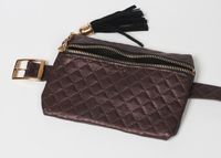 Snake Pattern Thin Belt Tassel Waist Bag main image 4