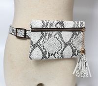 Snake Pattern Thin Belt Tassel Waist Bag main image 6