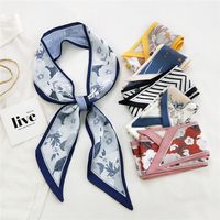 Fashion Printing Ribbon Silk Scarf Wholesale main image 5