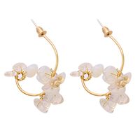 Fashion Stone Flower Geometric Resin Earrings Wholesale sku image 2