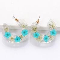 Fashion Transparent Resin Flower C-shaped Earrings main image 3