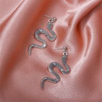 Boucles D&#39;oreilles Longues En Forme De Serpent À La Mode En Gros main image 4