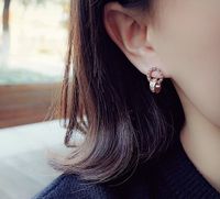 Fashion Heart Plating Titanium Steel Artificial Diamond 18K Gold Plated Rose Gold Plated Earrings main image 5