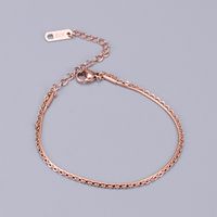 Heart 304 Stainless Steel Titanium Steel Plating No Inlaid 18K Gold Plated Women'S Anklet main image 3