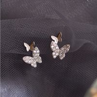 Mini Boucles D&#39;oreilles Papillon Diamants Fantaisie main image 4