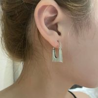 Simple Texture Geometric Bag Shape Metal Earrings main image 4