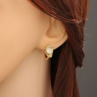 Creative New Fashion Copper Zircon Animal Leopard Earrings main image 5