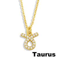 Fashion Twelve Constellation Symbol Pendent Necklace sku image 12