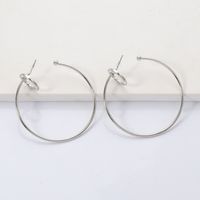 Boucles D&#39;oreilles En Diamant En Alliage De Mode En Gros main image 3