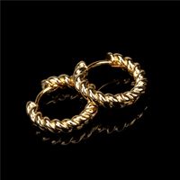 Retro Twist Spiral Geometric Metal Earrings main image 5