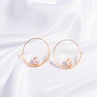 Fashion New Style Natural Freshwater Pearl Simple Round Earrings main image 3