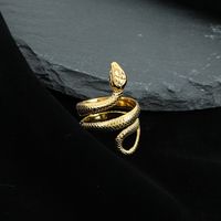 Retro Animal Snake Stainless Steel Plating Unisex Rings main image 4