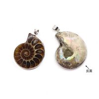 Retro Snail Fossil Pendant Necklace Wholesale main image 5