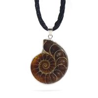Retro Snail Fossil Pendant Necklace Wholesale main image 6