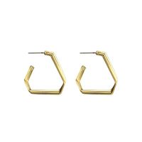 Fashion New Simple Style Exaggerated Earrings main image 5