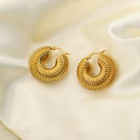 Fashion Stainless Steel Gold-plated Water Pipe Shape Earrings Wholesale main image 2