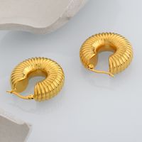 Fashion Stainless Steel Gold-plated Water Pipe Shape Earrings Wholesale main image 5