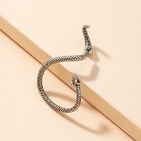 Exaggerated Fashion Retro Snake-shaped Earrings main image 2