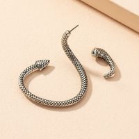 Exaggerated Fashion Retro Snake-shaped Earrings main image 5