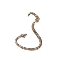 Exaggerated Fashion Retro Snake-shaped Earrings main image 6