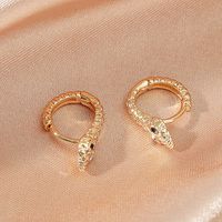 Wholesale Retro Snake-shaped Copper Earrings main image 5