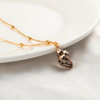 Simple Natural Shell Pendant Clavicle Chain sku image 4