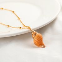 Simple Natural Shell Pendant Clavicle Chain sku image 15