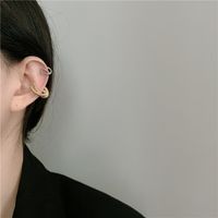 Fashion Geometric Cross Metal Winding Alloy Earrings Wholesale main image 5