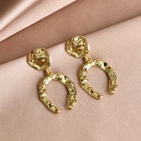 Fashion Geometric U-shaped Metal Earrings main image 5