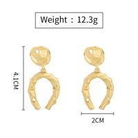 Fashion Geometric U-shaped Metal Earrings main image 7