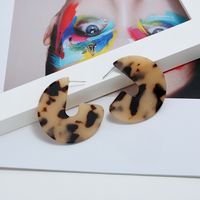 Pendientes Geométricos Acrílicos Con Estampado De Leopardo De Moda main image 5