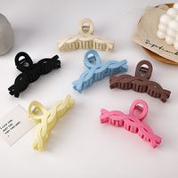Korean Solid Color Frosted Large Catch Clip Wholesale main image 5