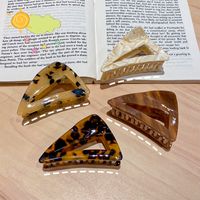 Retro Leopard Triangular Acrylic Catch Clip main image 2