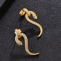 Simple Snake-shaped Copper Inlaid Zircon Earrings Wholesale main image 1