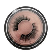 New 1 Pair Of False Eyelashes Natural Eyelashes Neutral Packaging sku image 3