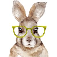 New Cartoon Rabbit Wearing Glasses Decorative Wall Stickers main image 6