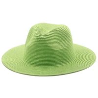 Sombrero De Paja De Ala Grande Tejido De Color Sólido De Estilo Coreano sku image 21