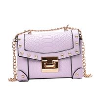 Fashion Metal Edging Messenger Square Bag main image 6