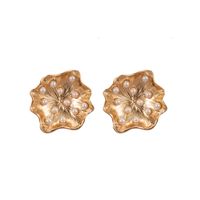Fashion Metal Pearl Flower Irregular Earrings Wholesale main image 7