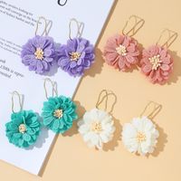 Korean Style Mesh Cloth Alloy Flower Earrings main image 5