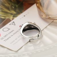 Han Zhishang Retro Frog Ring Cross-border Distressed Simple Garnet Ring Creative Opening Adjustable Ring main image 5