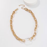 N8641 European And American New Exaggerated Alloy Thick Chain Necklace Resin Stylish Creative Punk Clavicle Chain main image 4