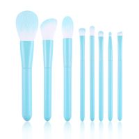 Wholesale Simple Four-color 10 Portable Makeup Brush Set sku image 6